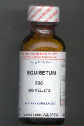 Click for details about Urinary bladder support Equisetum 30C 800 pellets