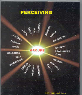Click for details about Perceiving Groups book