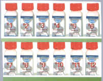 Click for details about Cell Salt Consultation Includes Cell Salt Remedy