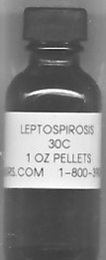 Click for details about Leptospirosis 30C economy 1 oz 800 pellets