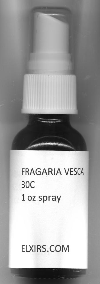 Click for details about Fragaria Vesca 30C 1 oz spray