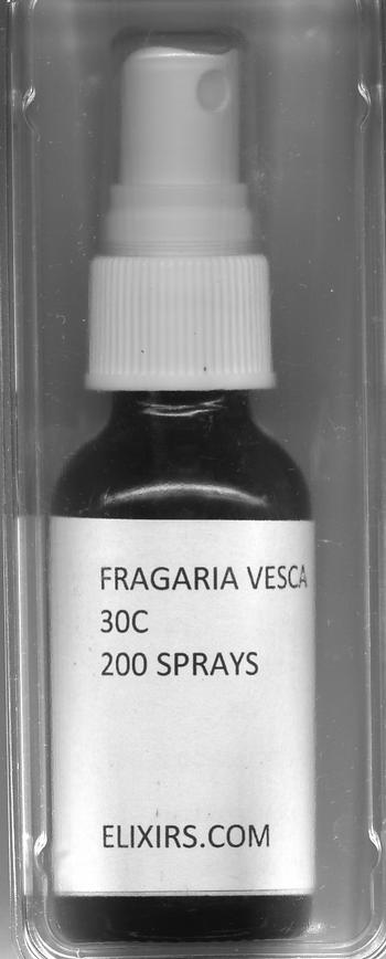 Click for details about Fragaria Vesca 30C 1 oz spray