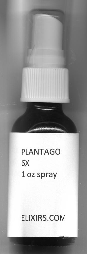 Click for details about Plantago 6X 1 oz spray for dental infections, abscesses