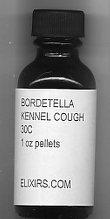 Click for details about Bordetella Kennel Cough for dogs 30C 800 pellets