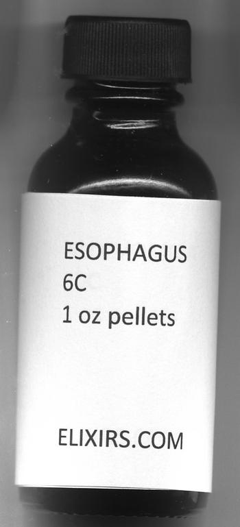 Click for details about Esophagus 6C economy 800 pellets