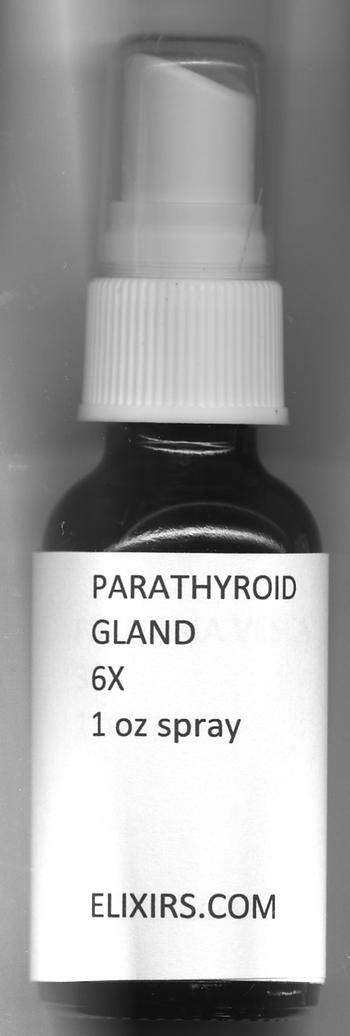 Click for details about Parathyroid Gland 6X 1 fluid ounce spray top