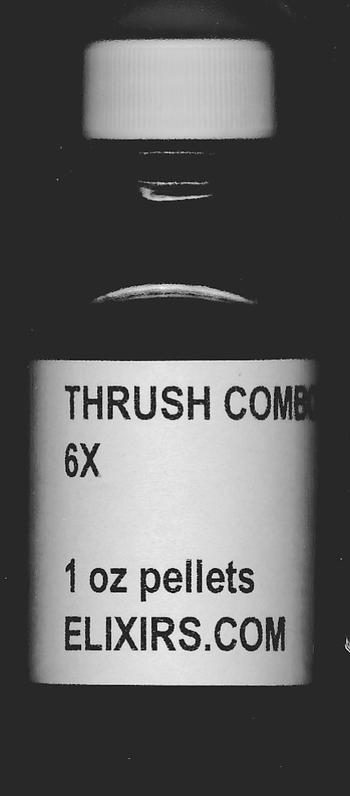Click for details about Thrush Combo 6X NEW economy 1 oz with 800 pellets Intro offer